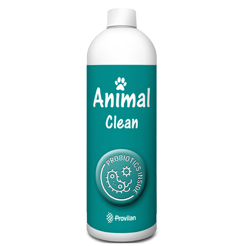 Animal. The microbiological cleaning.